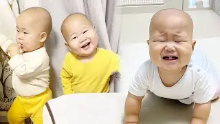 【超萌双胞胎】哥俩说动手就动手，根本拦不住啊!【西西和柚柚呀】#cutebaby #搞笑 #funny #人类幼崽 #双胞胎