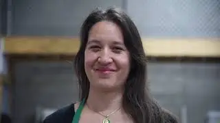 Big Book Sale Volunteer Training: The Basics