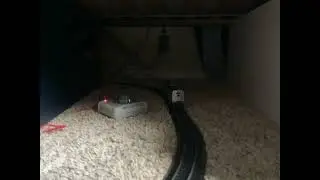 HO Scale Amtrak P40DC #816 And Percy (one of my 2 cats!)
