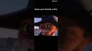 mal cat help the cat