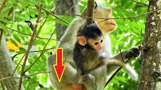 Jonna nearly fall down when Button leaves her walks on tree under raining.
