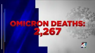 Omicron surpasses delta variant for number of COVID-19 deaths nationwide