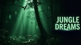Jungle Dreams 🌿 | Luxury Chill Beat for Focus & Power