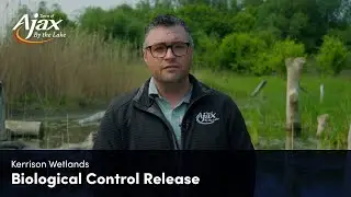 Biological Control Release | Kerrison Wetlands