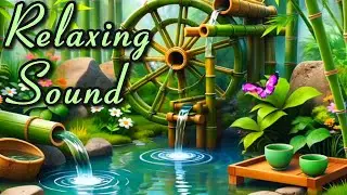 (🔴Live Now)  Gentle Water Drop Sounds &ndash; Natural Sleep Aid for Insomnia Relief