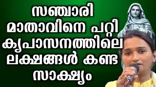 സഞ്ചാരി മാതാവിനെ പറ്റി കൃപാസനത്തിലെ ലക്ഷങ്ങൾ കണ്ട സാക്ഷ്യം... | @vimalahridayam 