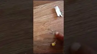 Самая ловчая снасть на САЗАНА