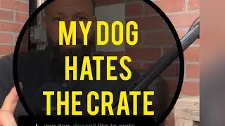My dog HATES the crate.