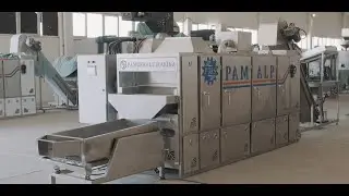 PAM ALP Roasting Machine | Nut Roaster Prodution Line #nutroastingmachine #roaster