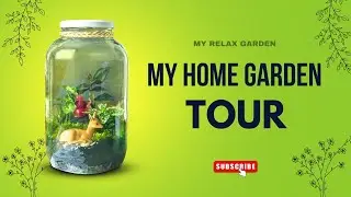 MY HOME GARDEN TOUR Part 1 | My Relax Garden | #homegarden #garden