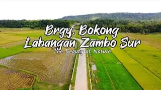 Brgy. Bokong Labangan Zambo Sur 