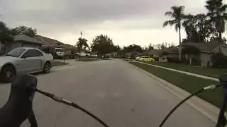 Basuto Dr