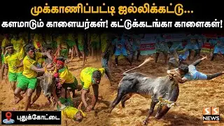 🔴 முக்காணிப்பட்டி ஜல்லிக்கட்டு..களமாடும் காளையர்கள்! கட்டுக்கடங்கா காளைகள்!| live