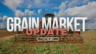 Wheat Vs. Corn, Gold Vs. Silver, & Bitcoin Vs. Gold Ratio Charts | Klarenbach Grain Market Update