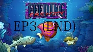 TOP OF THE FOOD CHAIN | FEEDING FRENZY #3 (END)