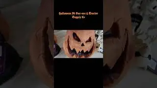 Halloween At Buc-ees & Tractor Supply Co #halloween #bucees #tractorsupply #fypシ #fypシ゚viral