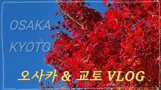 [여행vlog] ​⛩️🏮이 조합 가능해?? 가능해!! 시부모님+친정엄마+남편+동생과 오사카&교토 정복기🏯🍡🍱