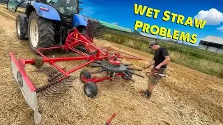 Straw Problems | Harvest | A Plough | Calf poorly