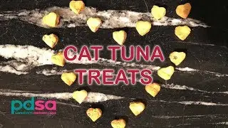 Homemade Cat Tuna Treats