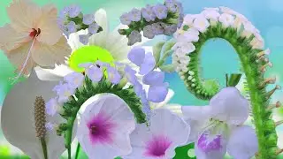 Beautiful Blooming Flowers 🌸 Relaxing Music for Peaceful Moments |Best Relaxation