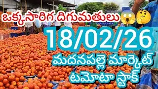 18-02-26 Madanapalle Tomato Market price Today || Today Tomato Market Rate in Madanapalle #today
