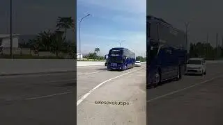Bus Jangulee Bilqis feat Dalacutes #shortsvideo #basuri #busmania