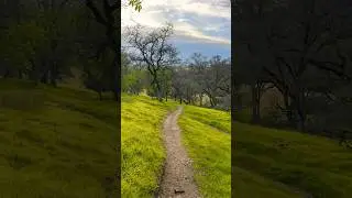 Secret hiking trails #HikingAesthetic #WanderWithWonder #ScenicTrails #NatureEscapes