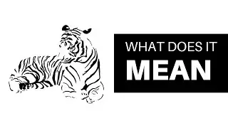 Tiger TATTOO MEANING 🐯 This is why you NEED IT