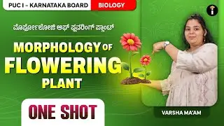Morphology of Flowering Plants -05 | One Shot | Karnataka PU 1 | Biology | Class 11 | In Kannada