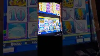 Dolphin&lsquo;s Pearl - 🔥Freispiele auf 20&euro;🔥#spielbank #novoline #casino #automat #bonus #freegames