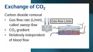 ECMO Basic Concepts Dr Ahmed Hussein