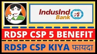 rdsp csp 5 benefits 2022 || rdsp csp lekar kiya faida || Induslan bank csp kaise le 2022 || #rdspcsp