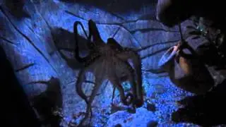 Olive the Octopus