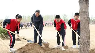 Xi Jinping highlights ecological health in building beautiful China