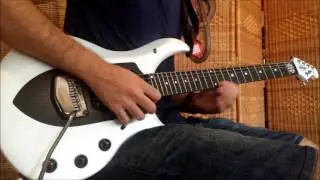 Pat Metheny - Above The Treetops solo (Cover)