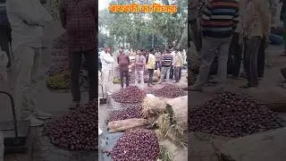 Barabanki ka singhada 🥒 mandi news 🗞️ singhada 🍆 #ShafeeqBarabanki #singhada #barabanki #mandinews