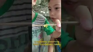 Gagambang garapitik tapos gagambang tunay