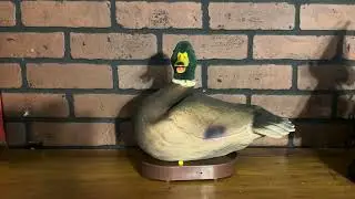 Gemmy Decoy Roy Audio Rip