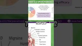 5 Things You Need to Know About Cannabis as Medicine