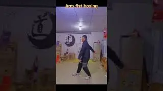 World Of Martial arts (Credits to the owner) - Kungfu AMAZING lightning fast arms moves #shorts