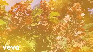Chad Lawson - beneath the moon's embrace (solo piano)
