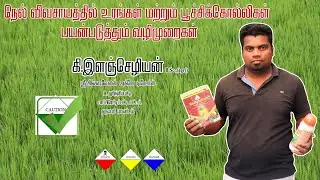 பூச்சி மருந்து ! நெல் விவசாயத்திற்கு என்ன மருந்து மற்றும் எப்போது உபயோகிப்பது | Dr.விவசாயம்