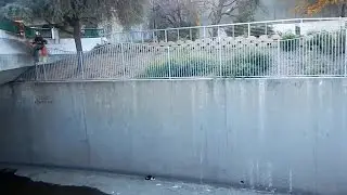 Cat Rescued From Storm Drain
