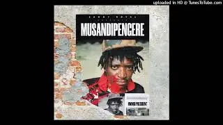 Sammy Royal & Hwindi PrezidentZw-Musandipengere