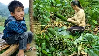 Go to the forest to pick dong leaves to sell, earn extra income and buy things for the baby