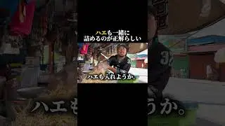 ハエも食うたる