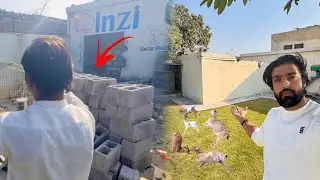 Roach Ka Ghr Tor Dia 😐 Hamari Goats 😥