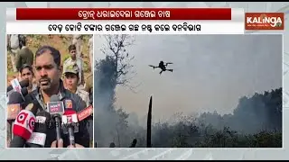 Odisha: Keonjhar forest officials destroy ganja plants | Kalinga TV