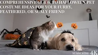 Comprehensive Guide to Halloween Pet Costume Ideas for Your Furry, Feathered, or Scaly Friend