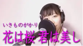 【歌ってみた】花は桜 君は美し(いきものがかり)